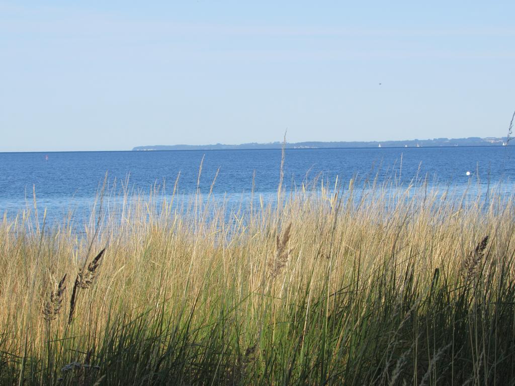 Apartment with Balcony,126823176:JPEG