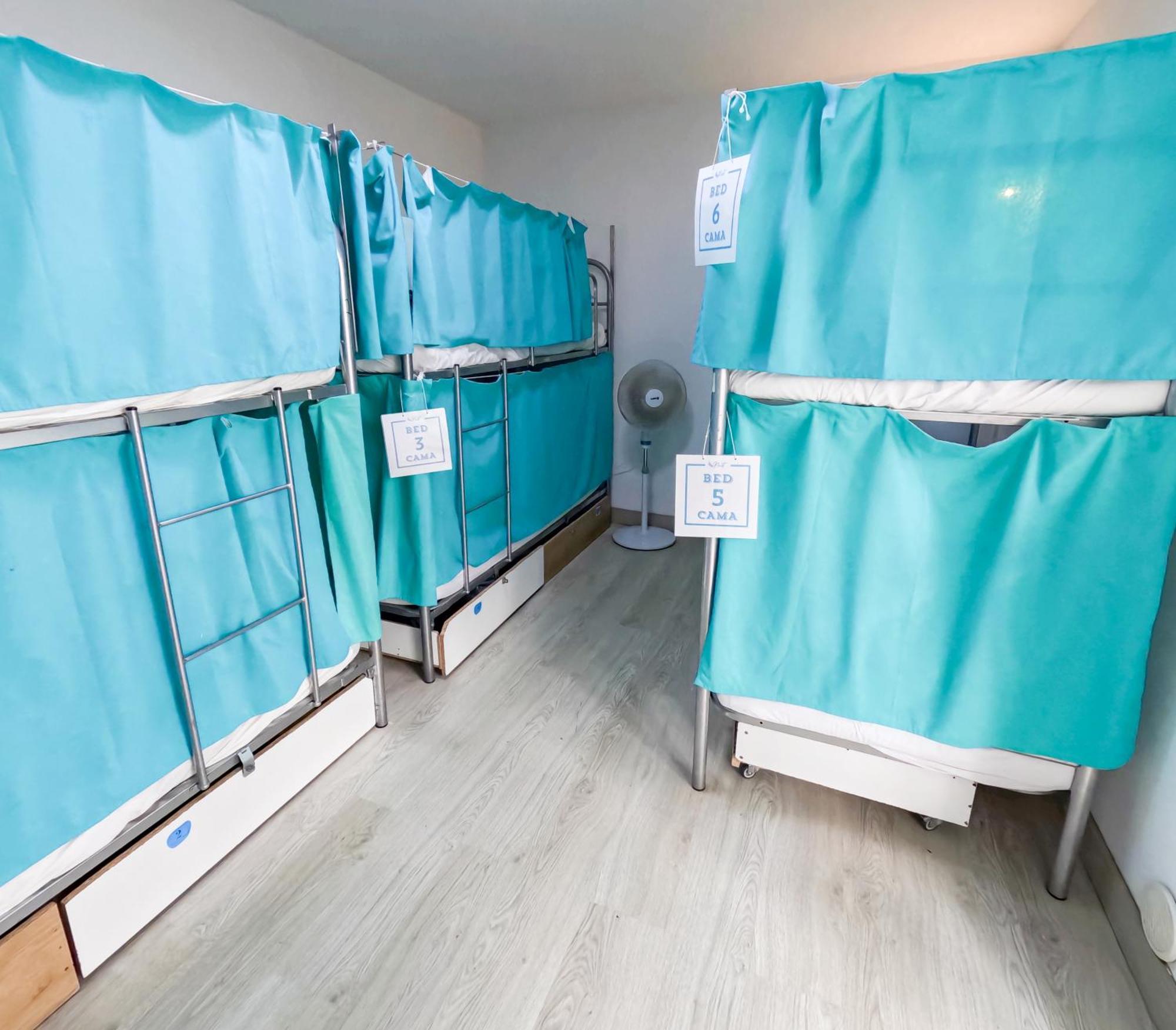 Bunk Bed in Mixed Dormitory Room,1627956547:JPEG