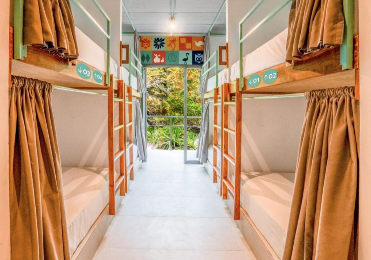 Bed in 8-Bed Mixed Dormitory Room,1758490419:JPEG