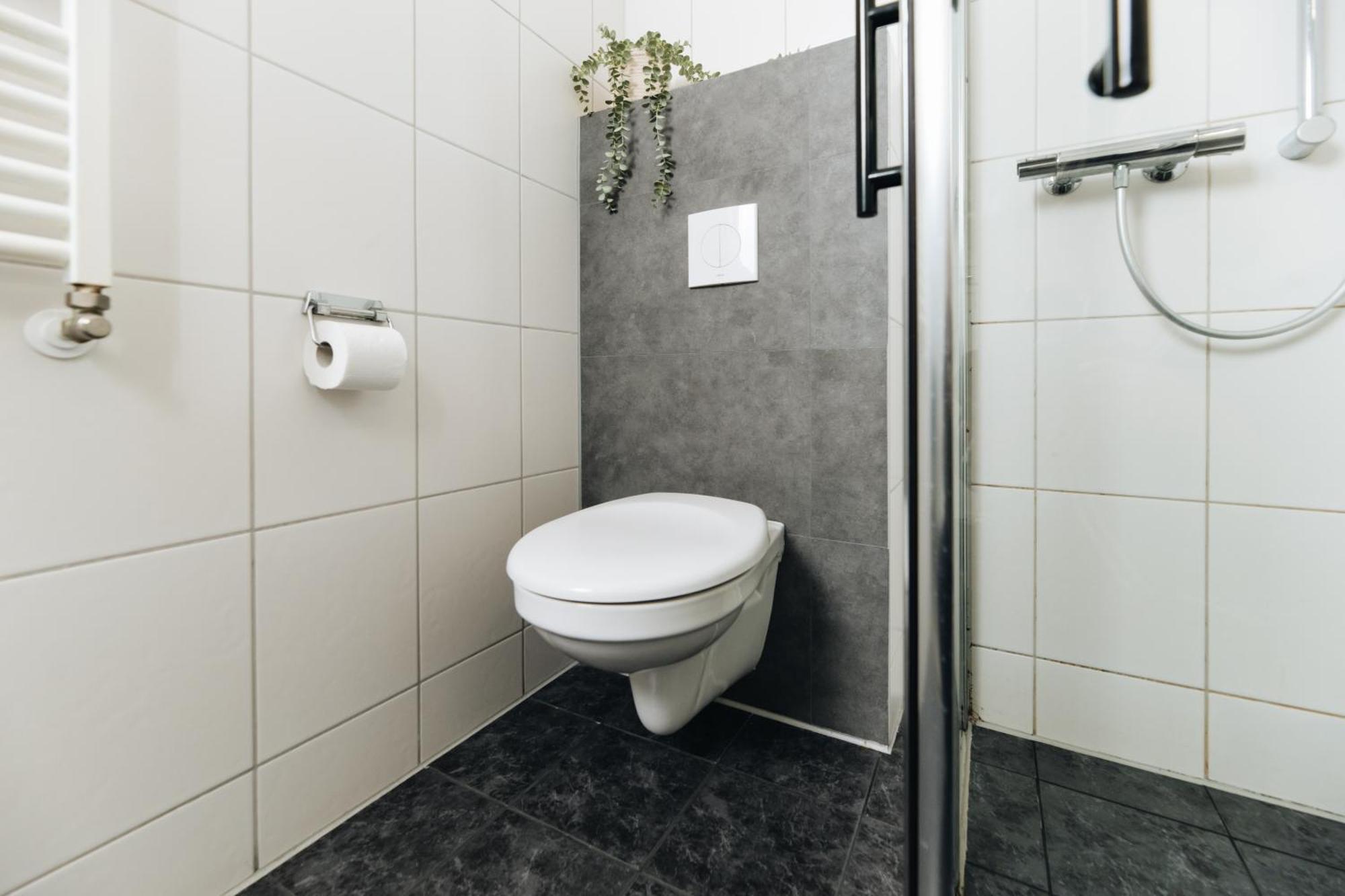 Comfort Doppelzimmer (Haustiere erlaubt)