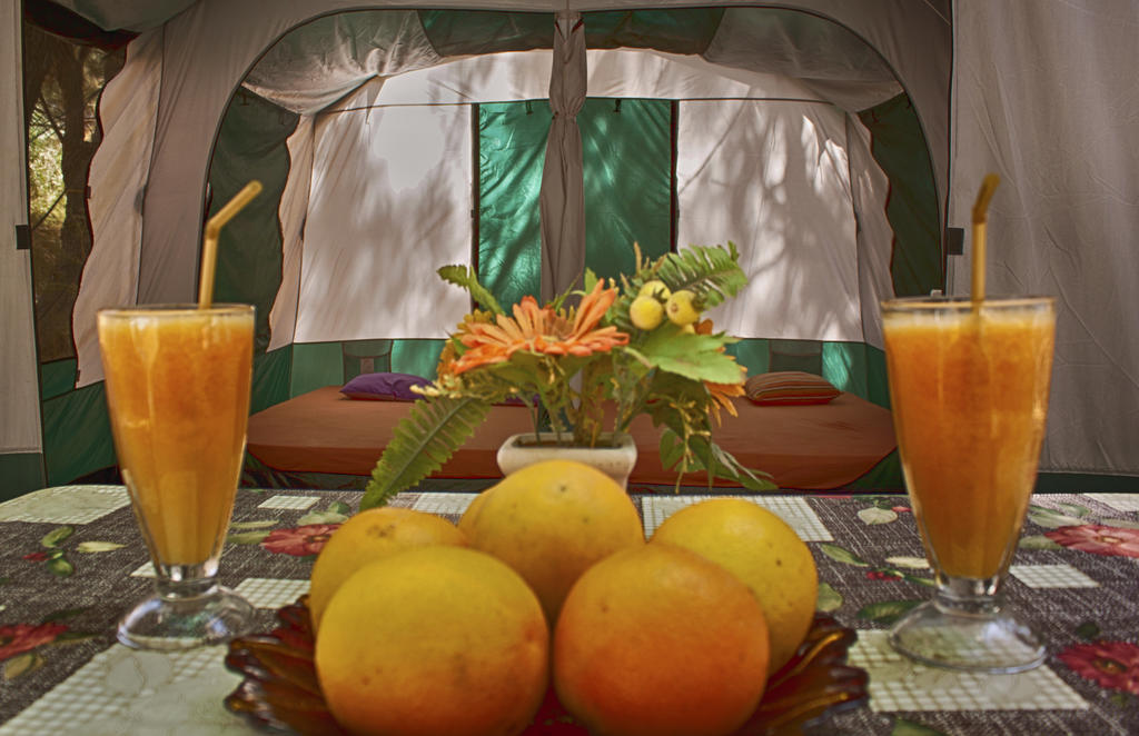 Tent