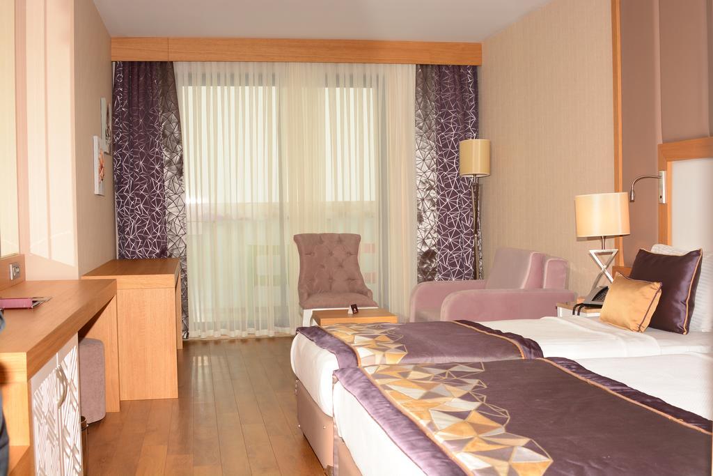 Double or Twin Room Mountain View,1209783160:JPEG