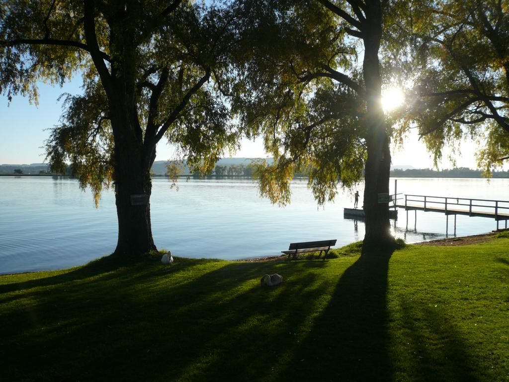 Studio with Lake View,724026508:JPEG