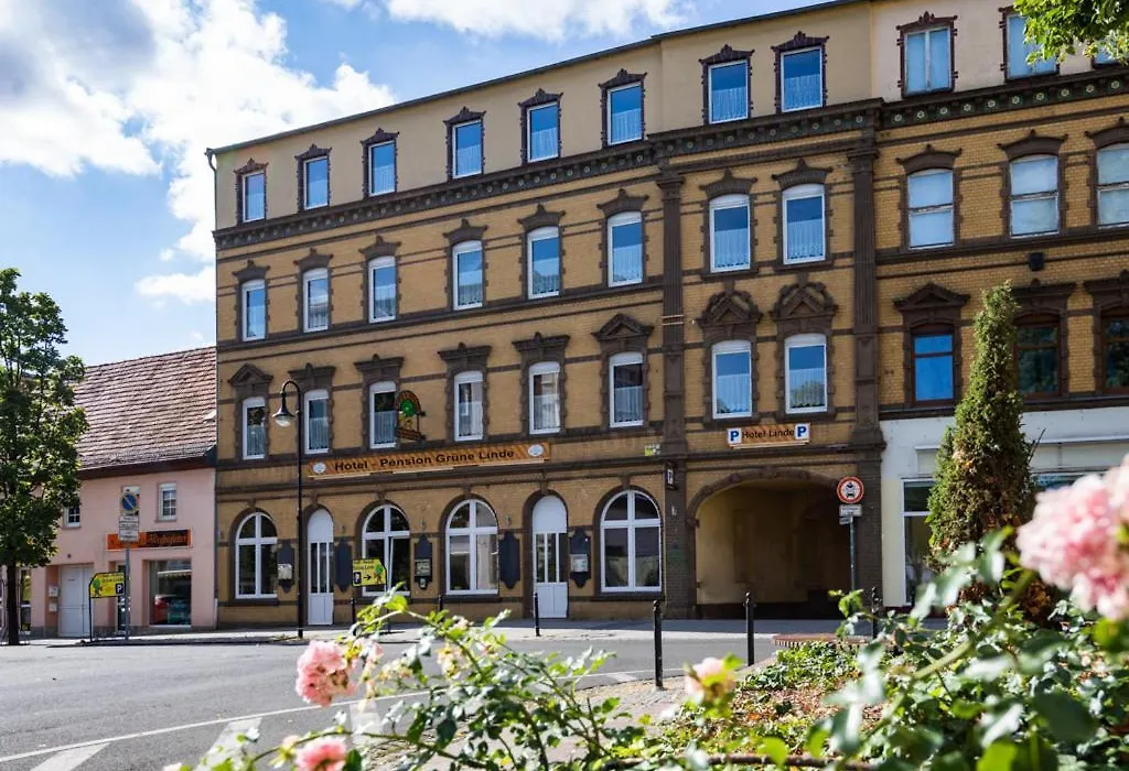 Hotel-Pension Grüne Linde-1
