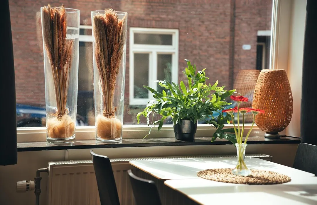 B&B De Hofnar Roermond-1