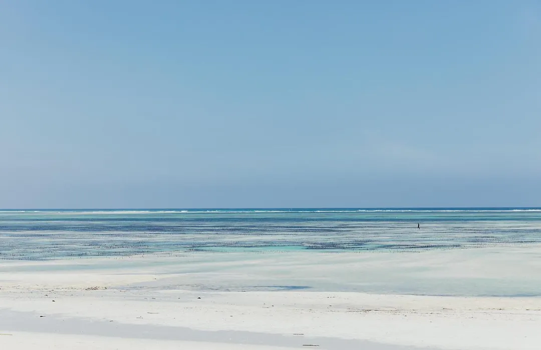 Lux* Marijani Zanzibar-1