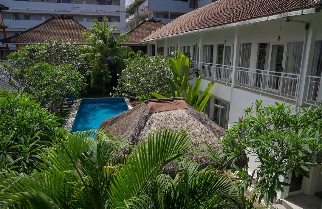Easy Surf Camp-1