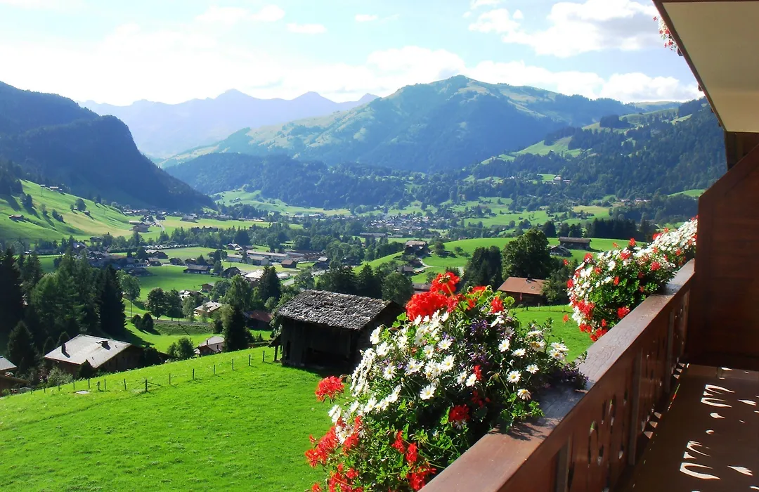 Hotel Le Grand Chalet Gstaad-1