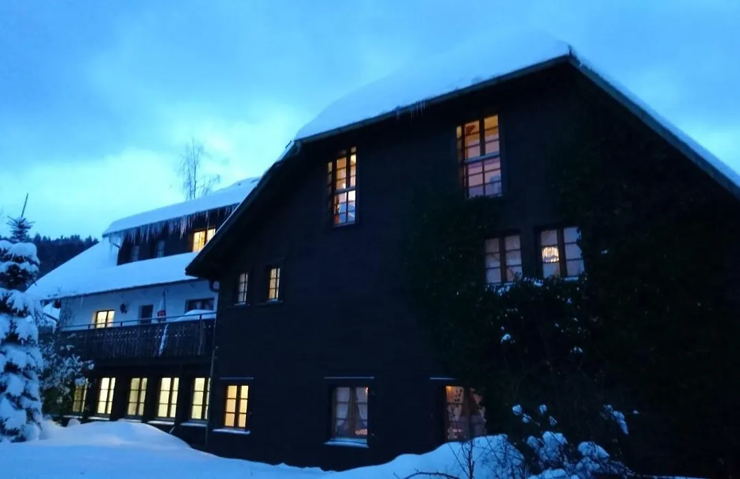 Hotel Maien-1