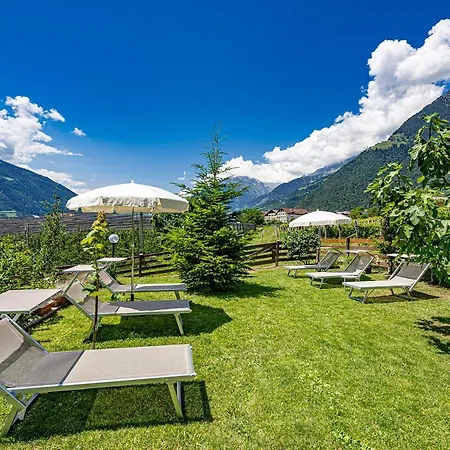 Hotel Stefanie-2