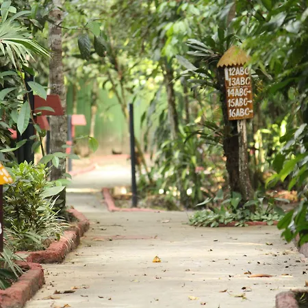 Amazon Ecopark Jungle Lodge-2