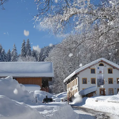 Gasthof Fallmühle-2