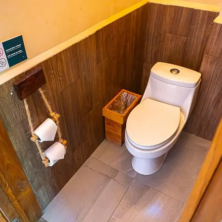 Mayan Monkey Isla Mujeres - Social Hotel (Adults Only)-2