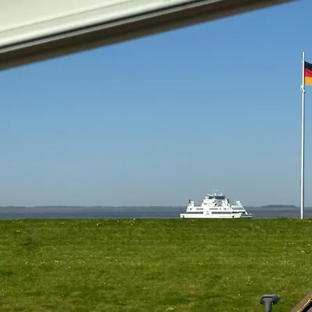 Deichkrone-3