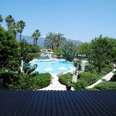 Tropical Hotel-3