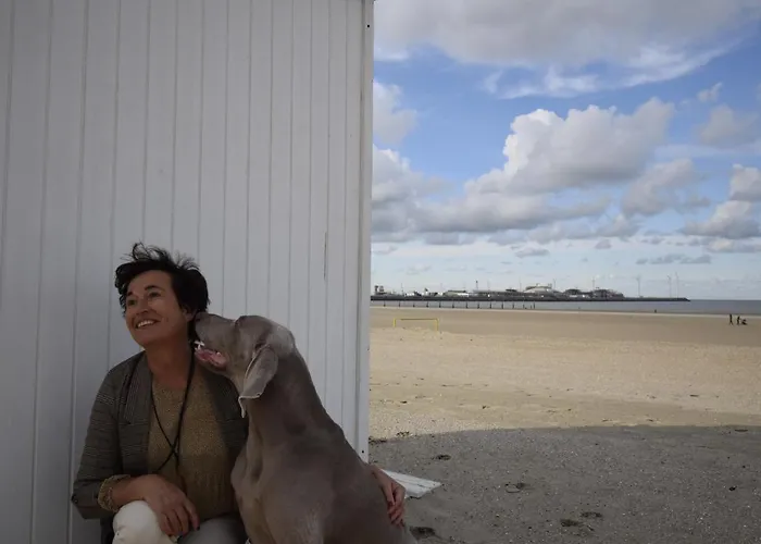 3-Sterne-Hotel: Hotel Ter Duinen - La Guera