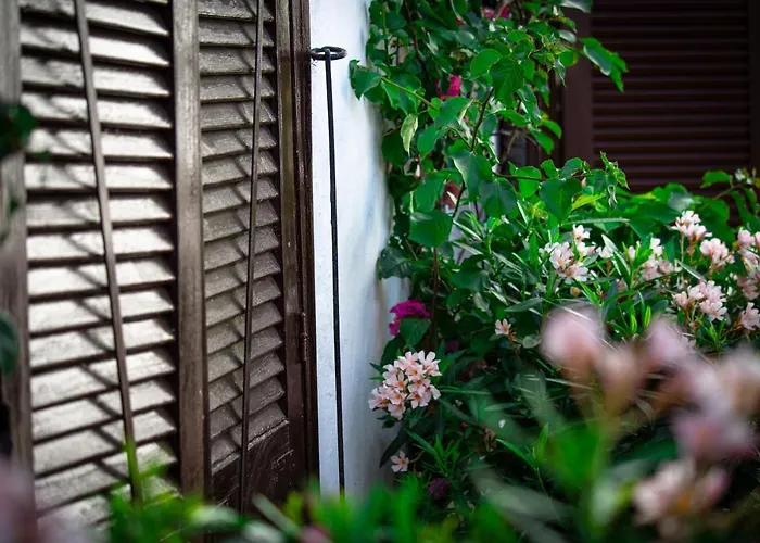 Haustierfreundliches Hotel: El Molino Estepona