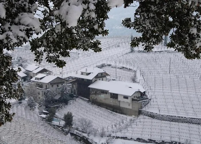 Ferienvermietung: Weingut Eberlehof