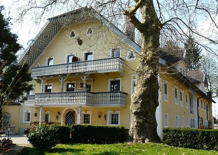 Gut Horn