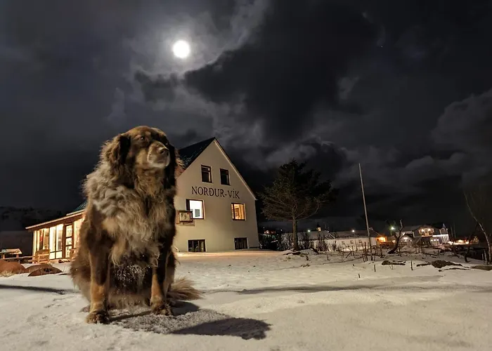 Hotel nahe College: Vik Hostel