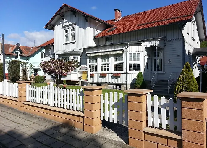 Villa HarzFokus - #Hotel#Pension#Frühstück