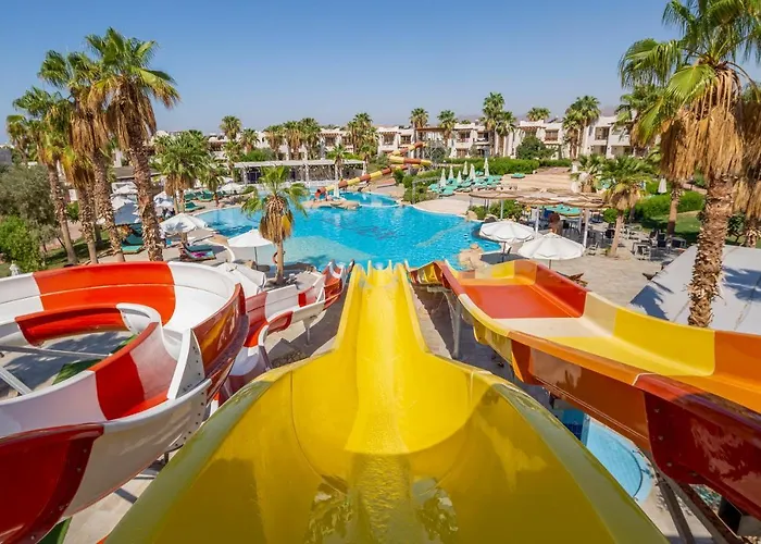 Amphoras Aqua Adults Friendly