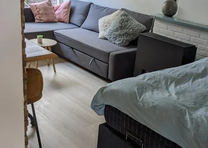 Zomerhuis In Wijk Aan Zee! 2 Pers