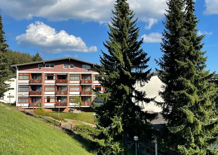 Ferienvermietung: Apartment App- 1406 - Ex-Kurhotel Schluchsee By Interhome
