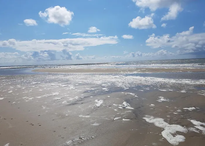 Romantisch Huisje Nabij Het Strand Met Uitzicht Op De Tulpenvelden
