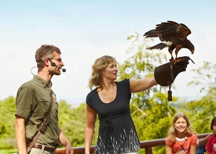Erlebnispark Tripsdrill Natur-Resort