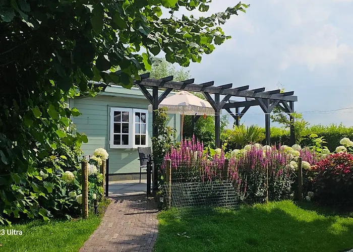 Romantisch Huisje Nabij Het Strand Met Uitzicht Op De Tulpenvelden