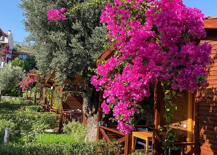 Suzi'Nin Bahcesi Bungalov Evler
