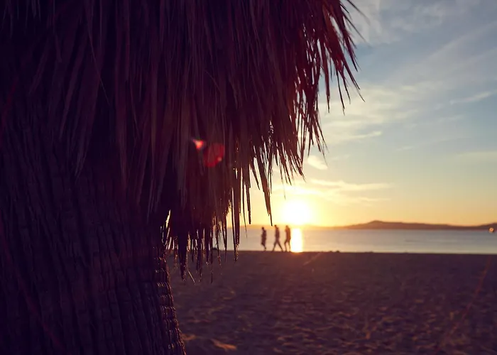 Haustierfreundliches Hotel: Les Jardins De La Mer