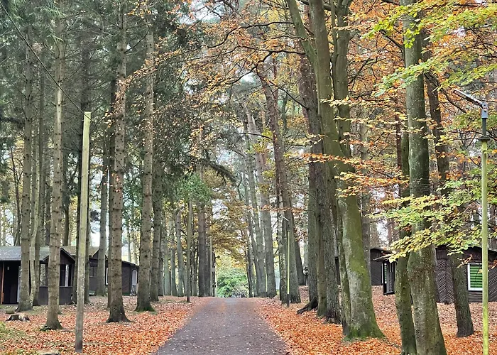 Ferienhaus: Feriendorf Fynnus