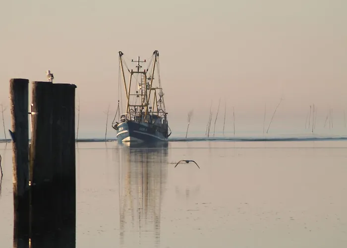 Haustierfreundliches Hotel: Ferienhaus Pia