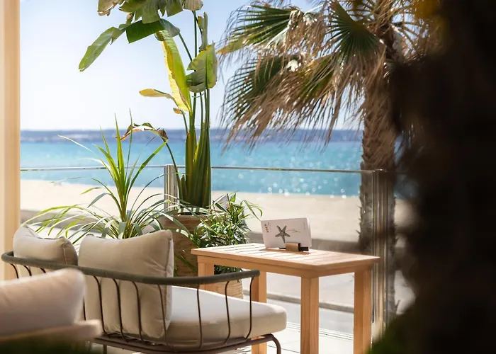 Resort: Hotel Eden Palma Playa Adults Only