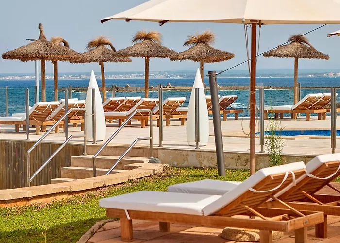 Zentrales Hotel: Universal Hotel Cabo Blanco - Adults Only