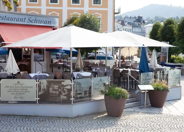 Zentrales Hotel: Seehotel Schwan