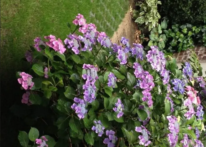 3-Sterne-Hotel: Hotel am Hofgarten