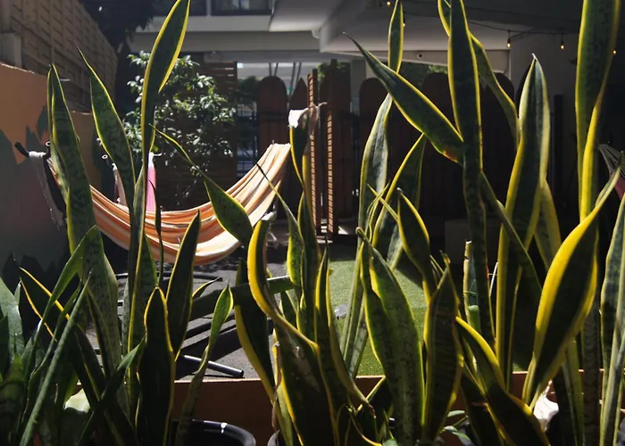 Polynesian Hostel Beach Club