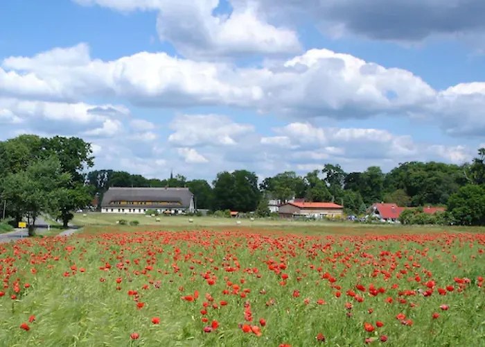 Hotel: Residenz am Ostufer