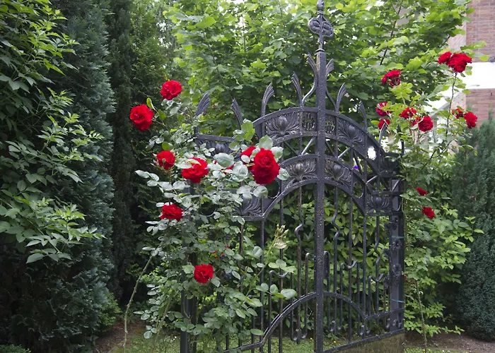 Familienhotel: Boutiquehotel Dreesen - Villa Godesberg