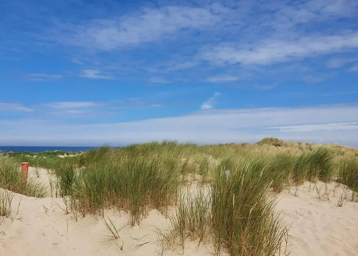 Haustierfreundliches Hotel: Zandput 490 - Camping de Zandput