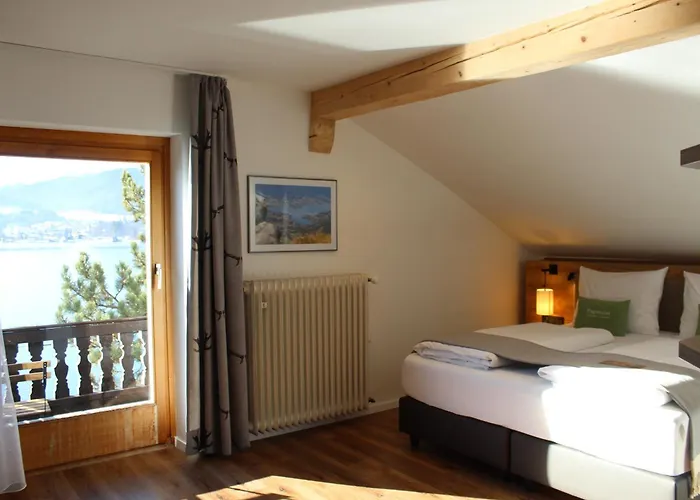 Haustierfreundliches Hotel: Seehotel zur Post