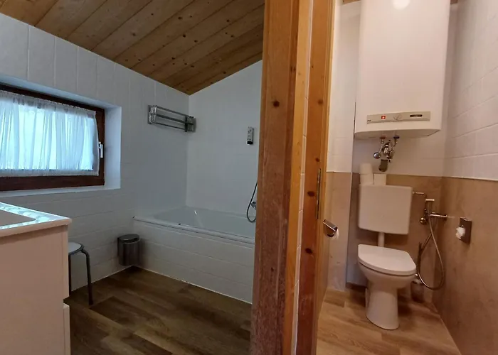 Waterfront Apartments Zell am See - Steinbock Lodges