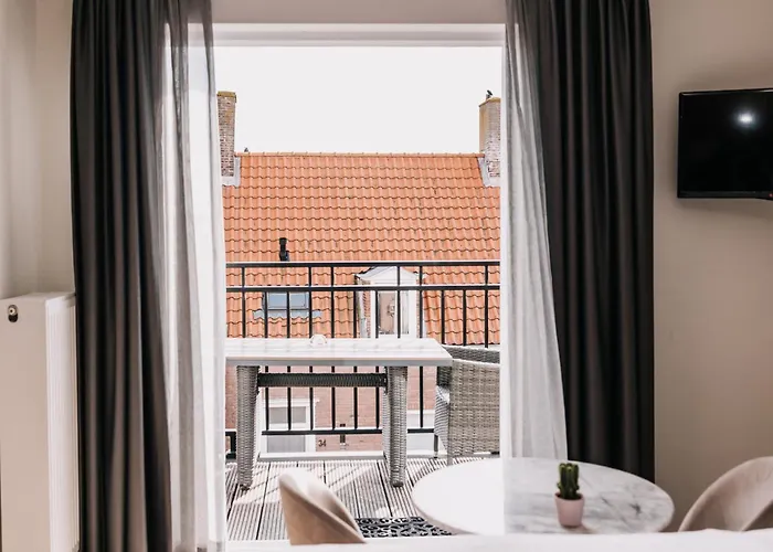 Divi Divi Zandvoort