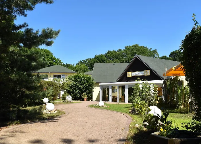 Hotel mit Hund Seeadler
