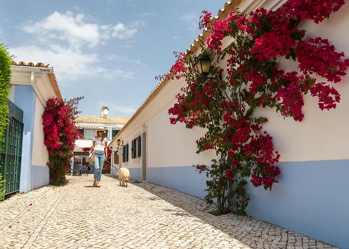 Vila Bicuda