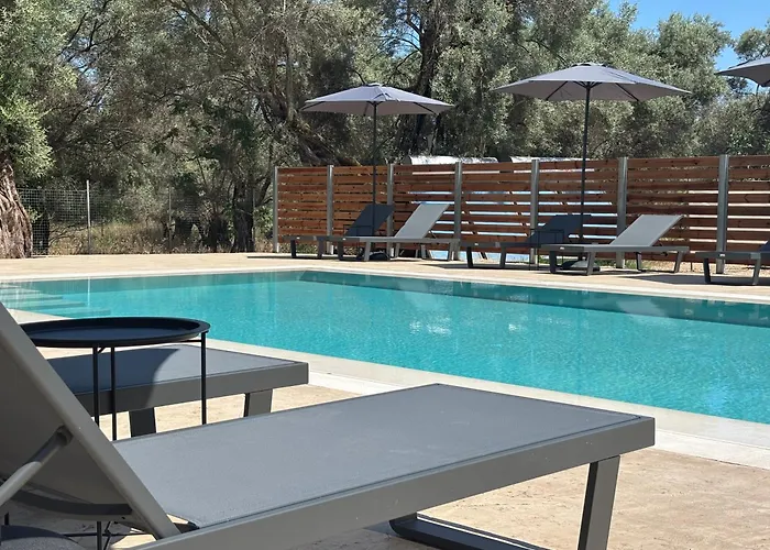 Olive Tree Apartments