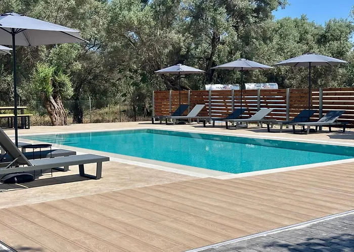 Olive Tree Apartments